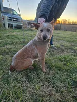 processed/184e471a-816b-4ab1-9862-e26b65c6f66b/listing/3475f152-c162-4314-9962-ec6231e2a662/6b596710-6f1b-4849-9500-b317256138c3