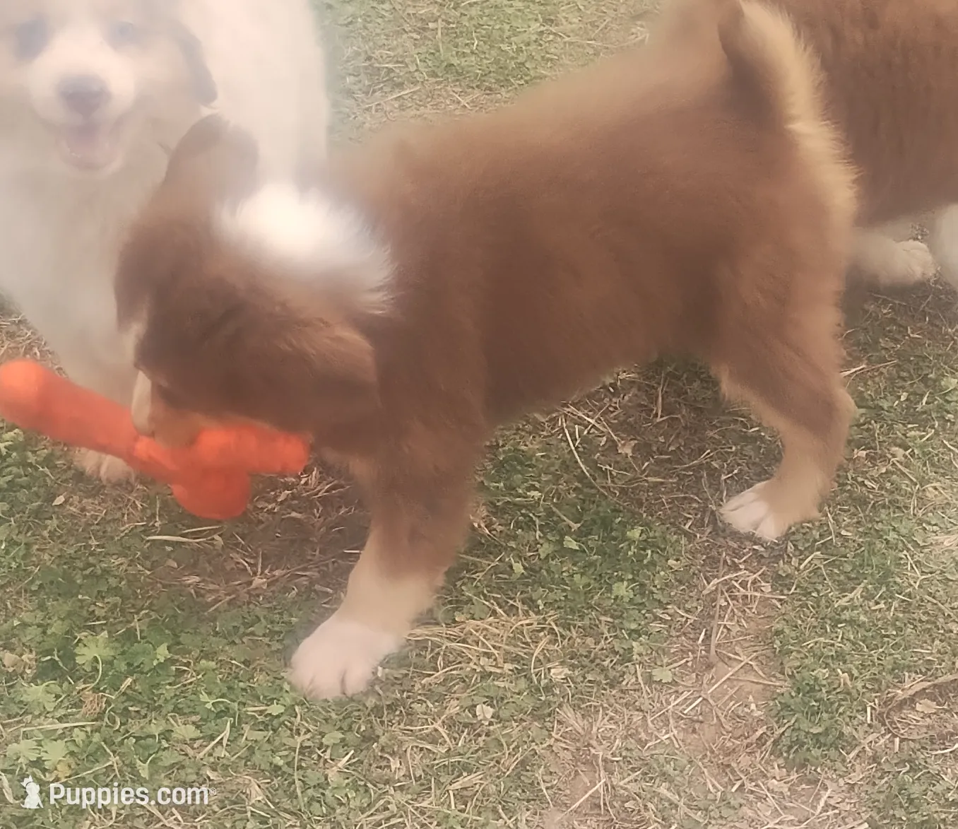 processed/184e471a-816b-4ab1-9862-e26b65c6f66b/listing/6261000d-90b0-4f4c-9a8c-cf3f43bcba49/ce25bded-9698-421b-be05-111ed79d1c42