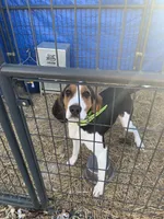 processed/184e8817-3171-48e2-bf3f-11580228163f/listing/9bfc7e21-cd43-4042-b548-90aa3144f55f/04341bb5-8ddc-4540-bf59-04ce117d13b0