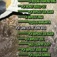 Lilly, a female Treeing Walker Coonhound for sale in Quebeck, TN – Photo 4 of 5