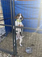 processed/184e8817-3171-48e2-bf3f-11580228163f/listing/9bfc7e21-cd43-4042-b548-90aa3144f55f/786d6efa-5a2b-4db4-9337-bbf2f6e28856