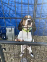 processed/184e8817-3171-48e2-bf3f-11580228163f/listing/9bfc7e21-cd43-4042-b548-90aa3144f55f/e3ba5f66-c0c2-44bb-9fe7-e272a007d31f