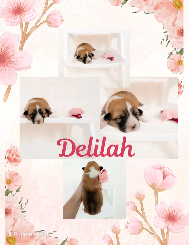 Delilah