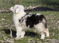 processed/185dc3db-bab1-4dd0-923c-c28db4a75e21/listing/35a479b3-9fcf-40c0-a177-682bc73b6eb5/1eb9f62a-e36e-4d14-8794-1f9b6171a8cb