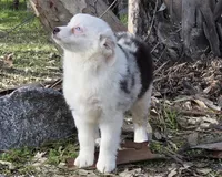 processed/185dc3db-bab1-4dd0-923c-c28db4a75e21/listing/35a479b3-9fcf-40c0-a177-682bc73b6eb5/59de381c-0bfe-4b47-833e-549cebad80f3