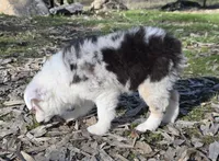 processed/185dc3db-bab1-4dd0-923c-c28db4a75e21/listing/35a479b3-9fcf-40c0-a177-682bc73b6eb5/7dc00ab6-bed8-4210-adf5-f8f1b6a70b4b