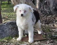 processed/185dc3db-bab1-4dd0-923c-c28db4a75e21/listing/35a479b3-9fcf-40c0-a177-682bc73b6eb5/f4c498a5-384b-455b-860b-ac6f7dd17371