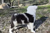 processed/185dc3db-bab1-4dd0-923c-c28db4a75e21/listing/35a479b3-9fcf-40c0-a177-682bc73b6eb5/f9f510ae-eea0-4c95-b75c-a90ade8d160f