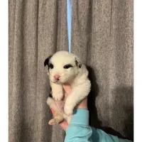 processed/185eab4d-b87b-4e27-9044-636af40995cb/listing/12f587e7-d046-44ca-9aba-2bf122d9976d/a67d226f-14a5-4fe9-8773-e0e89e5f2d79