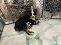 processed/185eab4d-b87b-4e27-9044-636af40995cb/listing/12f587e7-d046-44ca-9aba-2bf122d9976d/c1304aa0-b45d-421d-a7f4-92a625bda5b9