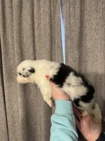 processed/185eab4d-b87b-4e27-9044-636af40995cb/listing/12f587e7-d046-44ca-9aba-2bf122d9976d/ff9f5894-9665-4fc6-97a0-2a0904a0814f