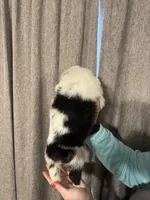 processed/185eab4d-b87b-4e27-9044-636af40995cb/listing/12f587e7-d046-44ca-9aba-2bf122d9976d/ffcd5f85-30e8-4424-a100-8e1d36003dd5