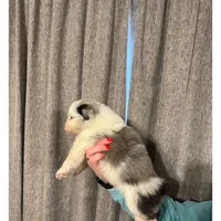 processed/185eab4d-b87b-4e27-9044-636af40995cb/listing/1b39ae8c-345d-4efd-84c8-2a2b07484ebd/2fe56c07-836a-4c3c-9bc1-37e916de4d4f