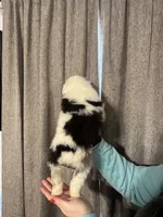 processed/185eab4d-b87b-4e27-9044-636af40995cb/listing/235f032f-aaae-41b1-8205-fa2c7c35f923/40fc67f2-e986-46e6-90d2-c326029515eb