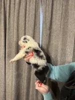 processed/185eab4d-b87b-4e27-9044-636af40995cb/listing/47e20a8e-6343-429f-8462-8648829d34a5/1c8722c8-f3c6-48e2-b9dc-9cfa60fc8974