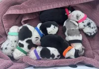 processed/185eab4d-b87b-4e27-9044-636af40995cb/listing/47e20a8e-6343-429f-8462-8648829d34a5/2a4da912-3229-4b43-87d9-f00462898e63