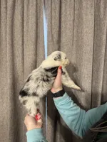 processed/185eab4d-b87b-4e27-9044-636af40995cb/listing/47e20a8e-6343-429f-8462-8648829d34a5/dbc9c100-3ac5-4ba1-bf1e-c7dcd9d41659