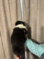 processed/185eab4d-b87b-4e27-9044-636af40995cb/listing/9cbba187-cba7-474c-b7aa-f0c5fcd62102/8e53fcde-498f-414c-bc05-cb1be0f1b895