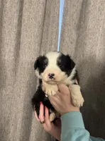 processed/185eab4d-b87b-4e27-9044-636af40995cb/listing/9cbba187-cba7-474c-b7aa-f0c5fcd62102/b9d6a8fc-198d-4d78-a69b-67fd35db60c0