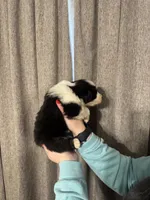 processed/185eab4d-b87b-4e27-9044-636af40995cb/listing/9cbba187-cba7-474c-b7aa-f0c5fcd62102/fe917a23-e84e-4538-bd51-0daaf2cd3b7c