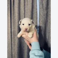 processed/185eab4d-b87b-4e27-9044-636af40995cb/listing/e3813d89-ee16-468b-9849-af54b8103a39/059b00e1-c6ce-4758-949b-713bdd435db9