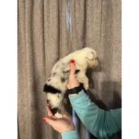 processed/185eab4d-b87b-4e27-9044-636af40995cb/listing/e3813d89-ee16-468b-9849-af54b8103a39/b5b00b78-bdc3-4561-8988-5e63def0b72f