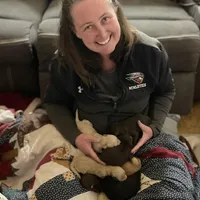 Squirrel, a female Goldendoodle for sale in Santa Fe, NM – Photo 5 of 6