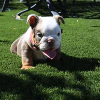 processed/186b323e-62ee-492d-a88c-89fbf8bb3984/facility/5c787f82-b8b3-4418-ba3f-52469ef1f393