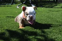 processed/186b323e-62ee-492d-a88c-89fbf8bb3984/facility/5c787f82-b8b3-4418-ba3f-52469ef1f393