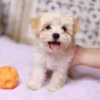 processed/186b323e-62ee-492d-a88c-89fbf8bb3984/facility/68316914-e175-4331-a949-48eef7aee1df