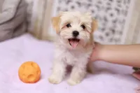 processed/186b323e-62ee-492d-a88c-89fbf8bb3984/facility/68316914-e175-4331-a949-48eef7aee1df