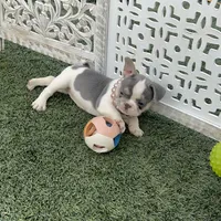 processed/186b323e-62ee-492d-a88c-89fbf8bb3984/facility/84c2b109-1089-44ef-97ea-bad0760f2214