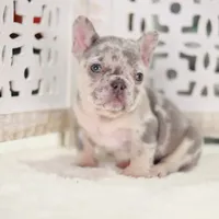 processed/186b323e-62ee-492d-a88c-89fbf8bb3984/facility/bc871aa2-0e06-4af8-9133-bb3f750c3fcb