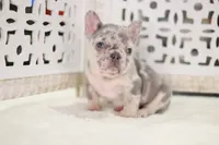 processed/186b323e-62ee-492d-a88c-89fbf8bb3984/facility/bc871aa2-0e06-4af8-9133-bb3f750c3fcb