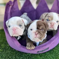 processed/186b323e-62ee-492d-a88c-89fbf8bb3984/facility/d14b4ca9-c838-47de-9287-2a1a224ad67c