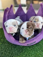 processed/186b323e-62ee-492d-a88c-89fbf8bb3984/facility/d14b4ca9-c838-47de-9287-2a1a224ad67c