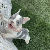 processed/186b323e-62ee-492d-a88c-89fbf8bb3984/facility/e457922d-ad66-4084-8d60-0daba48e248f