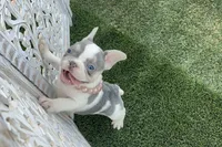 processed/186b323e-62ee-492d-a88c-89fbf8bb3984/facility/e457922d-ad66-4084-8d60-0daba48e248f