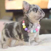 processed/186b323e-62ee-492d-a88c-89fbf8bb3984/facility/f5e47cf1-ac88-4af8-a03b-c58787591701