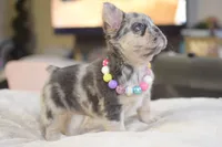 processed/186b323e-62ee-492d-a88c-89fbf8bb3984/facility/f5e47cf1-ac88-4af8-a03b-c58787591701