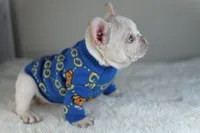 Casey * VIDEO*, a male French Bulldog for sale in Apple Valley, CA – 5 of 9