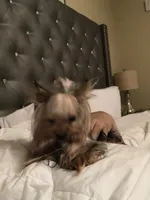 processed/186b9b9a-4ea6-4515-8018-7c6d378fa6b2/facility/7c9bd9e8-474d-4756-bfff-e2c8ab2fa076