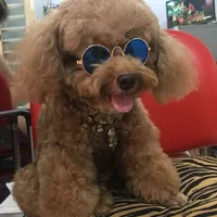 processed/186b9b9a-4ea6-4515-8018-7c6d378fa6b2/facility/97600216-1327-4b82-a179-5abf991408e2