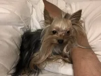 processed/186b9b9a-4ea6-4515-8018-7c6d378fa6b2/facility/dc87f0d7-fb96-40c3-988d-24c3497fef59