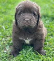 processed/186bfe8e-3978-471e-a0d7-78cdea6b73b0/facility/427573a3-1c52-4b00-9ffd-53f99f2b66e5