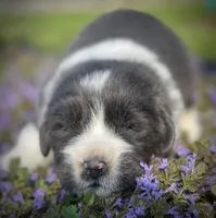 processed/186bfe8e-3978-471e-a0d7-78cdea6b73b0/facility/4702fe1a-0e98-491d-b2b4-d1eec479b482