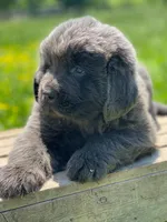 processed/186bfe8e-3978-471e-a0d7-78cdea6b73b0/facility/79e57a64-c41a-4cf5-bb94-8f6c68b3a12f