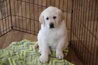 processed/186daa5c-d325-4f1d-ba12-0f6d8b2a705a/facility/1ac3825c-77a7-4d21-86bb-56049132aee8