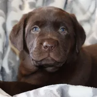 processed/186daa5c-d325-4f1d-ba12-0f6d8b2a705a/facility/4b7b2d38-fd55-40d7-8688-ba3c74ec3e79