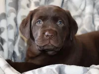 processed/186daa5c-d325-4f1d-ba12-0f6d8b2a705a/facility/4b7b2d38-fd55-40d7-8688-ba3c74ec3e79